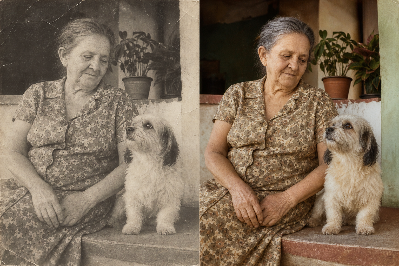 Restauração de fotografia afetiva com pet